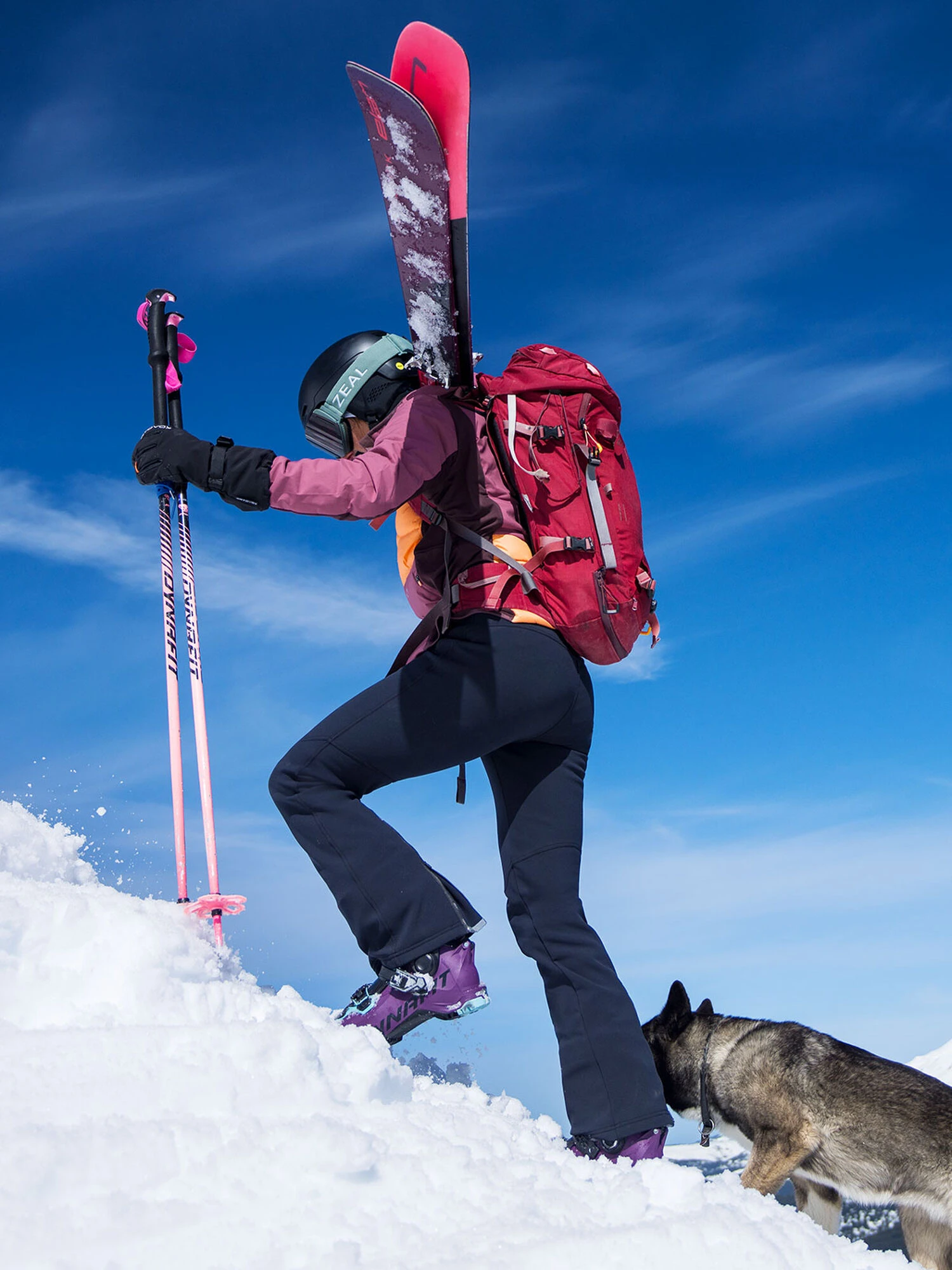 Valhalla Softshell Pants - Image 6